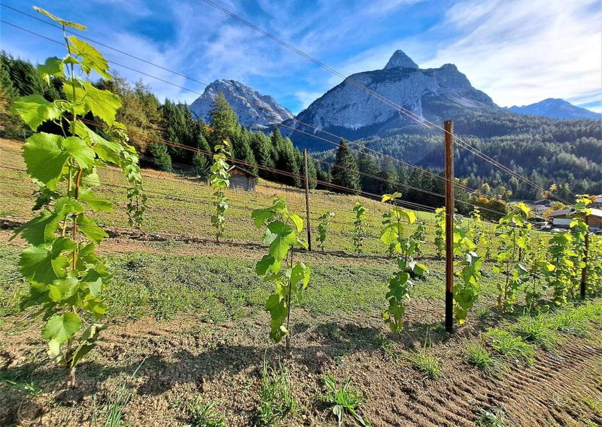 Apartament Der Trueferhof Ehrwald Zewnętrze zdjęcie